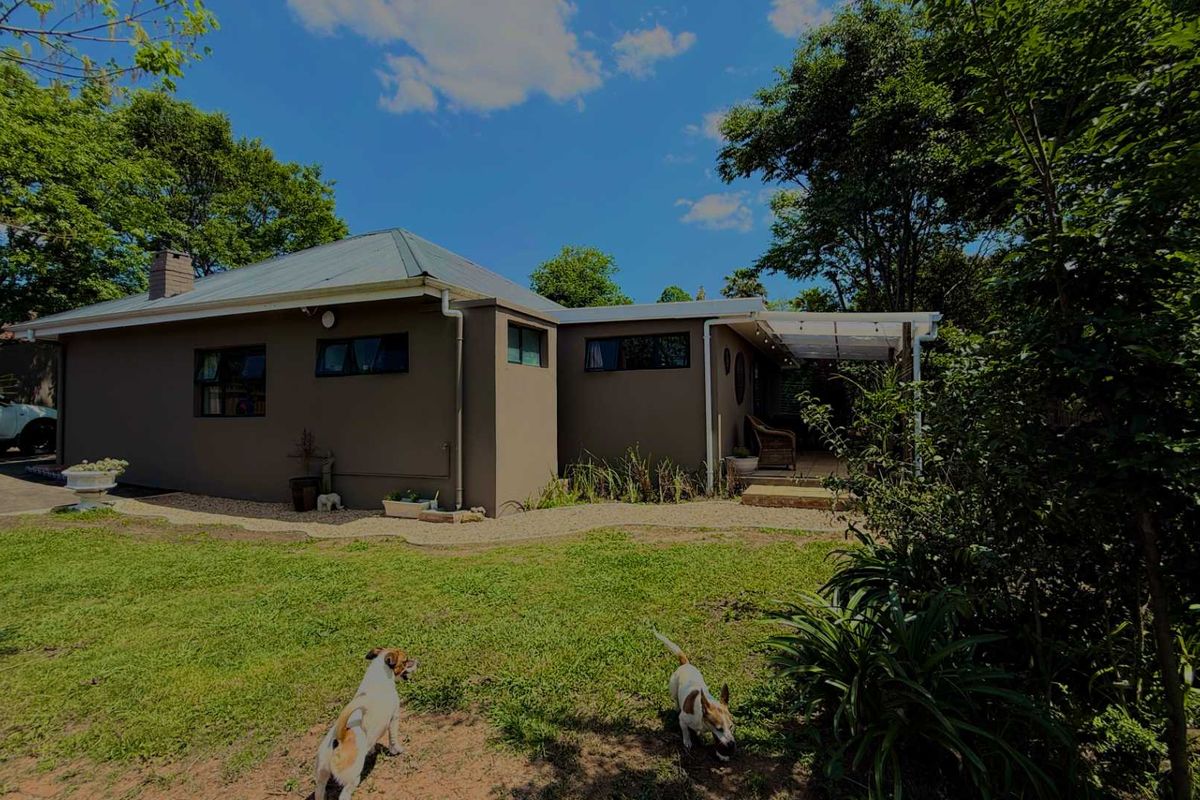 Rear view of the house featuring a covered patio area, metal roofing, and a well-maintained garden space.
