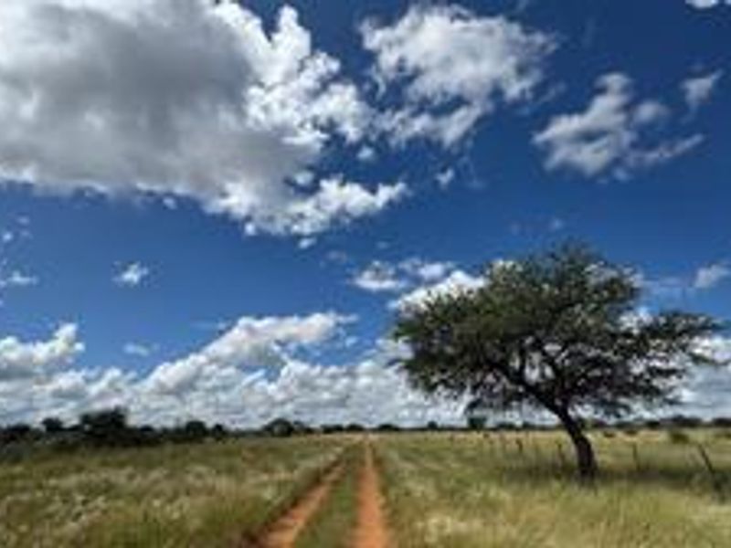 This impressive 4,100-hectare farm, strategically divided into 22 well-equipped camps - Photo 3