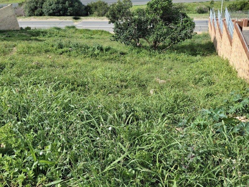 A sloped residential vacant land plot featuring brick boundary walls and metal fencing, currently covered in overgrown vegetation.