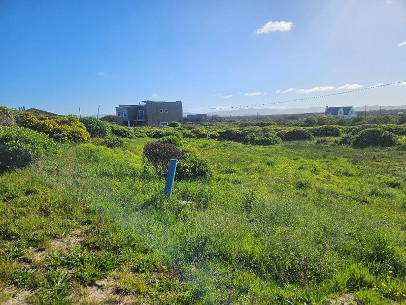 A view of a vacant commercial land plot featuring natural vegetation and a visible utility connection point.