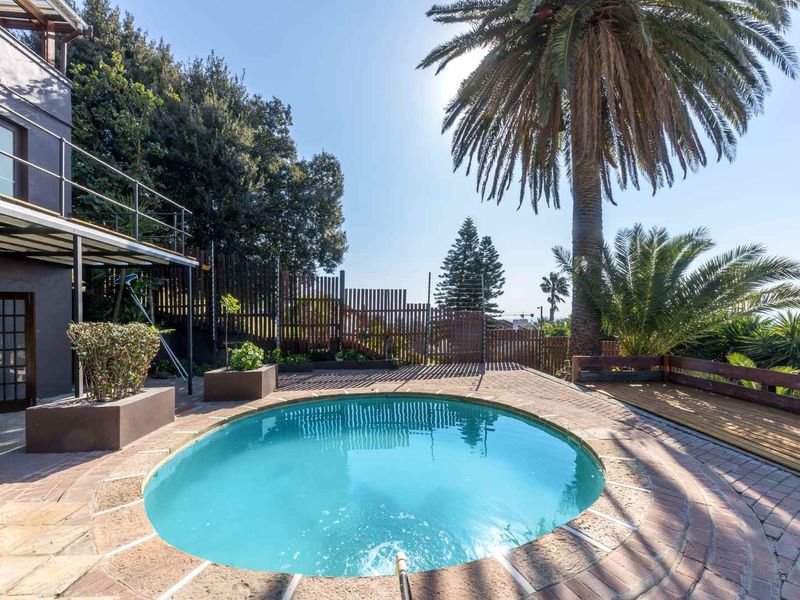 Outdoor pool area featuring a circular swimming pool, brick paving, timber decking, and established palm trees with secure perimeter fencing.