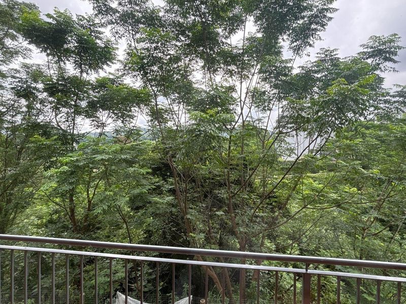 Modern One-Bedroom Apartment in Forest Waters Lifestyle Estate Secure Living with Scenic Views - Photo 10