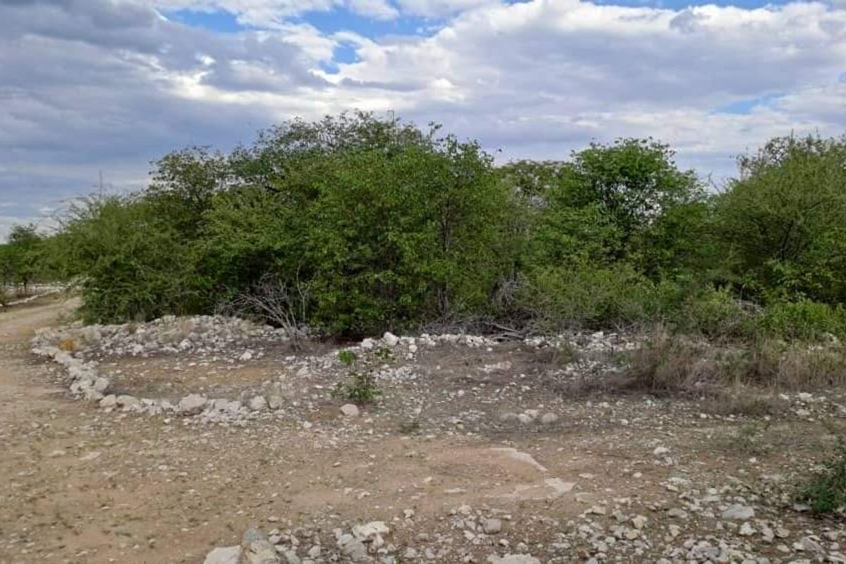 COMMERCIAL FARM FOR SALE IN TSUMEB DISTRICT - Photo 2