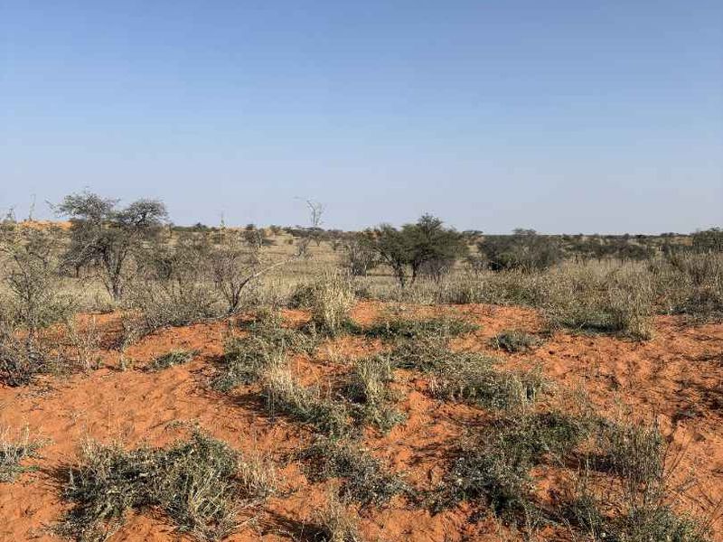 An expansive view of the natural farm landscape featuring native shrubs and red sandy terrain under a clear blue sky.