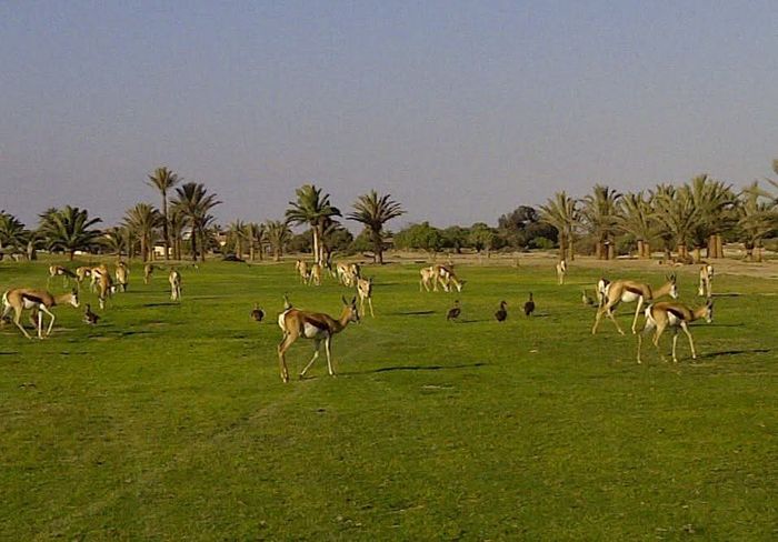 Property #2492315, Vacant Land Residential For Sale in Rossmund Golf Resort