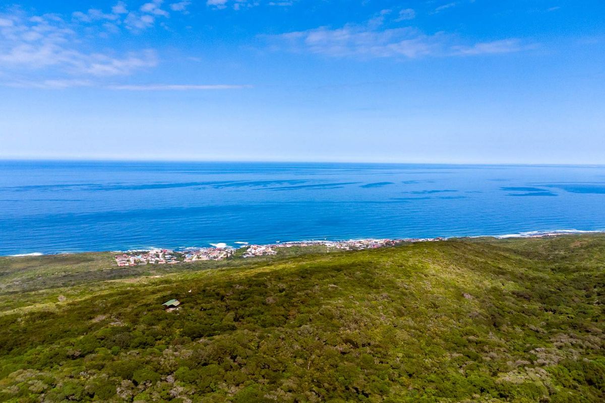 One of the Last Coastal Development Opportunities in Seaview | 25ha with Planning Work Already Done - Photo 3