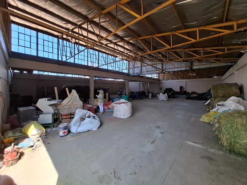LARGE INDUSTRIAL PROPERTY WITH ENOUGH SQUARE METRES UNDER ROOF - Photo 8