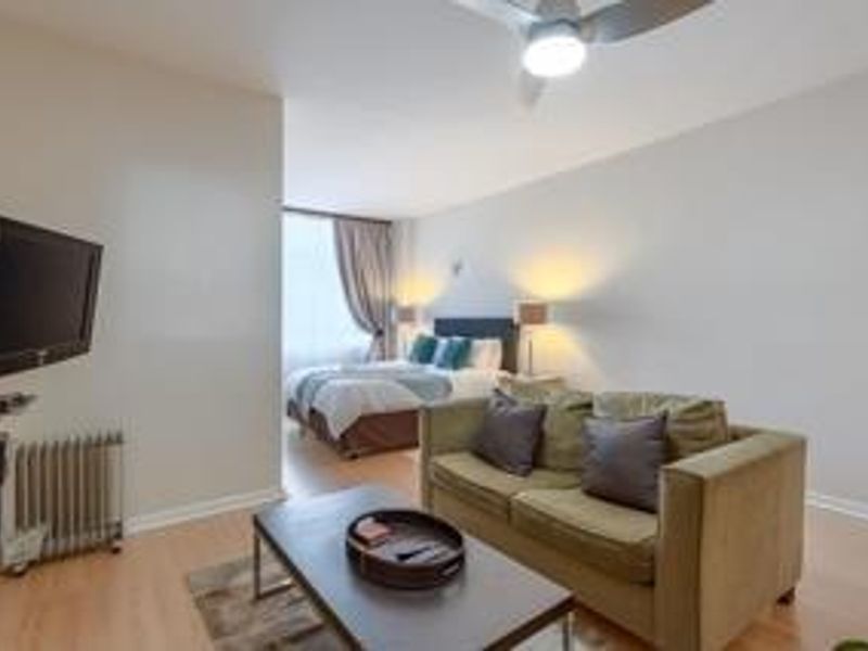 SOPHISTICATED FULLY FURNISHED STUDIO APARTMENT IN THE HEART OF ILLOVO - Photo 3