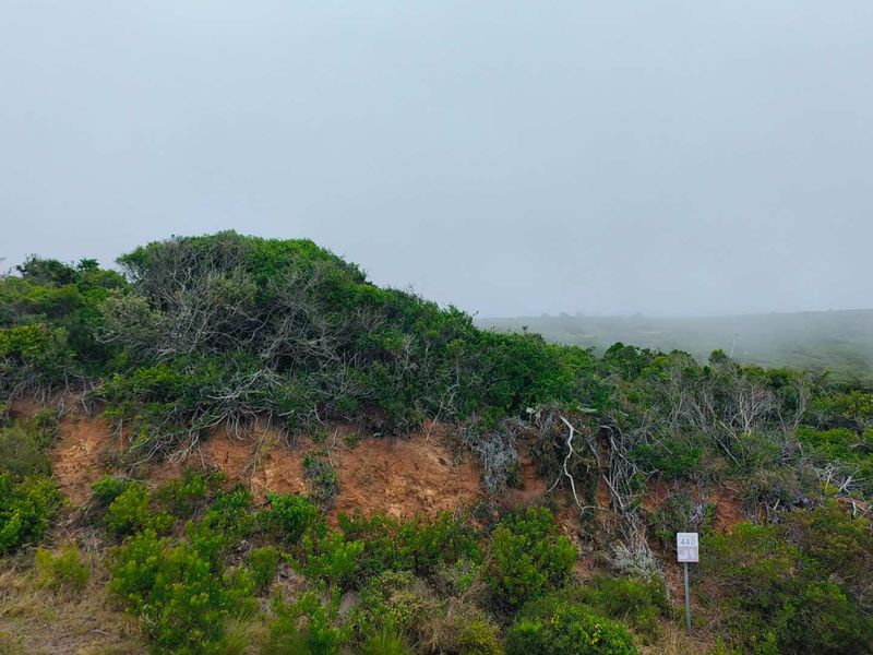 Exclusive Oppertunity - 1813m2 Vacant Land in Paradise Coast Eco Estate - Photo 10