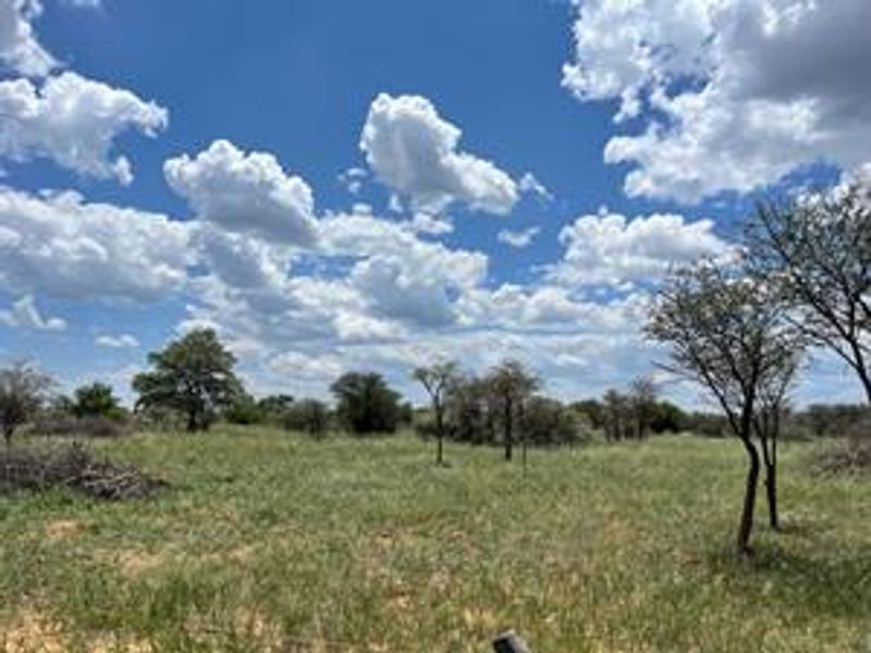Discover this incredible 4500ha farm offering a perfect blend of modern infrastructure, abundant water resources, and rich wildlife - Photo 2