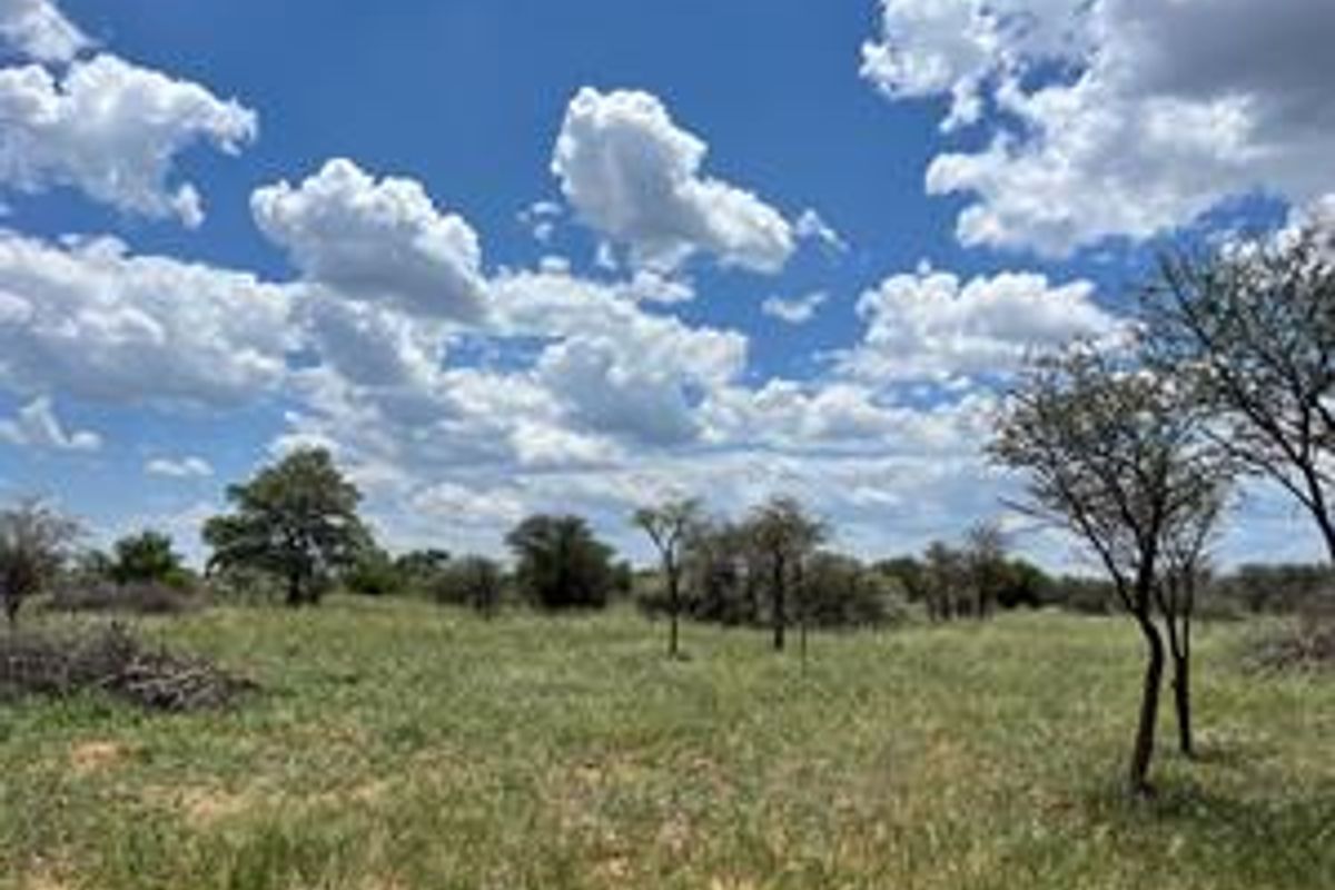 Discover this incredible 4500ha farm offering a perfect blend of modern infrastructure, abundant water resources, and rich wildlife - Photo 2