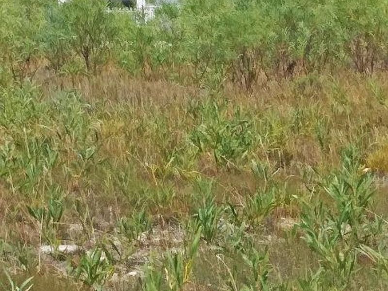 A Haven to Hold - Photo 5