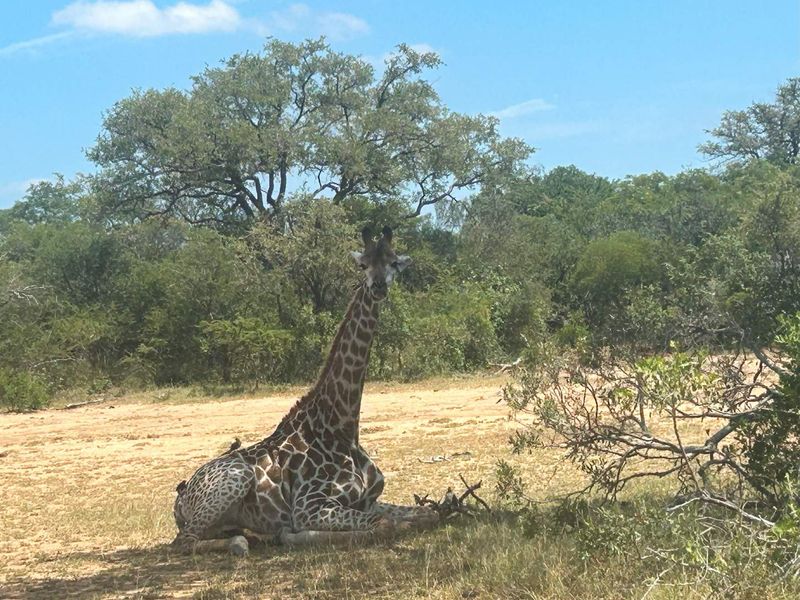 MODITLO NATURE RESERVE - Vacant land for sale! - Photo 5