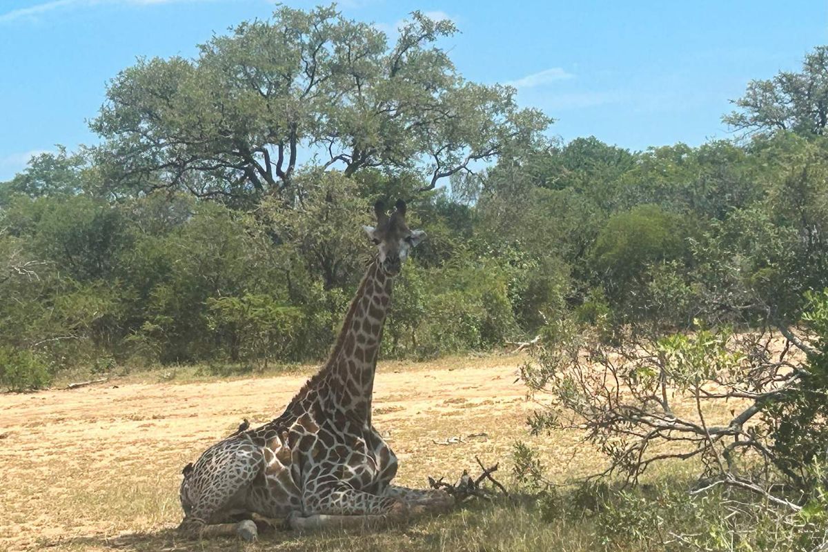 MODITLO NATURE RESERVE - Vacant land for sale! - Photo 5