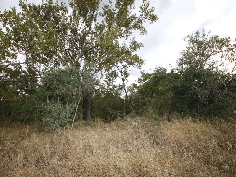 Vacant Land in MODITLO NATURE RESERVE - Photo 5