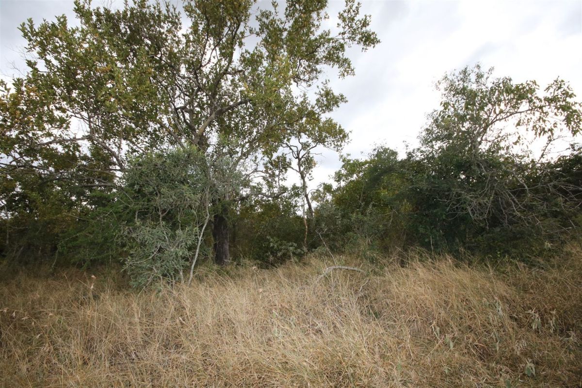 Vacant Land in MODITLO NATURE RESERVE - Photo 5