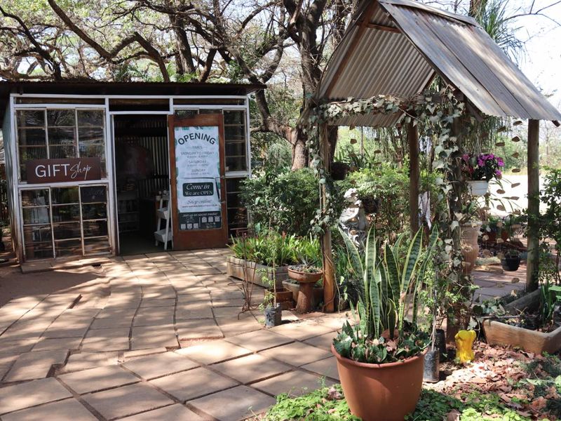 Established Plant Nursery Business For Sale. - Photo 8