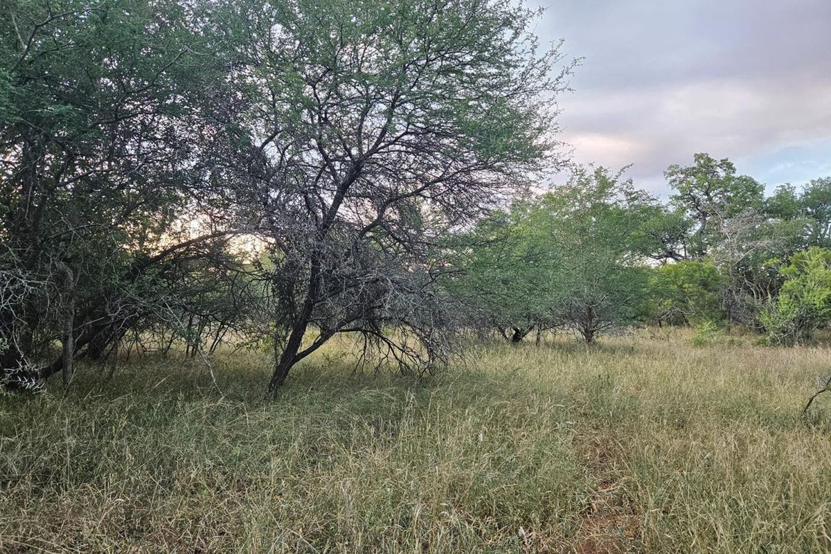 Vacant Land in MODITLO NATURE RESERVE - Photo 5