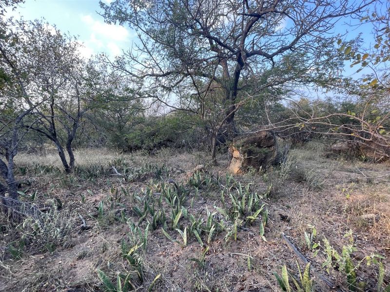 Exclusivity and quietness is the name of the game. - Photo 3