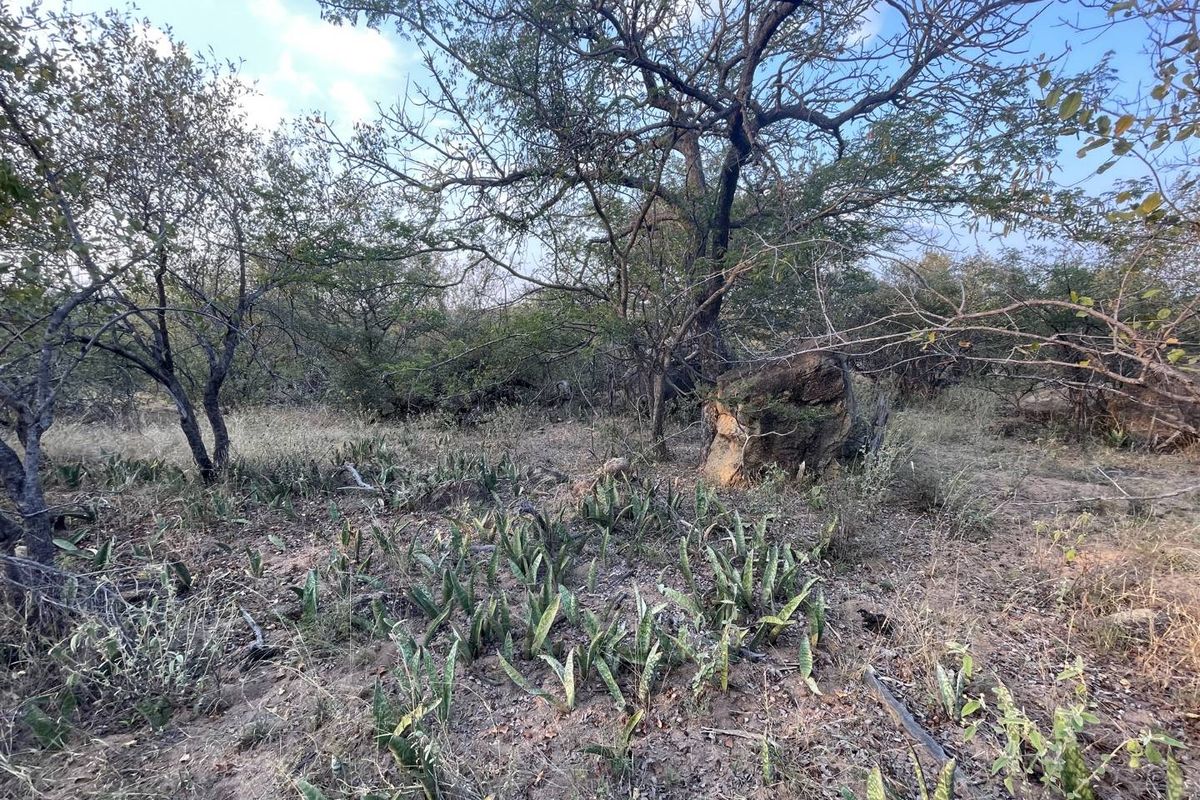 Exclusivity and quietness is the name of the game. - Photo 3