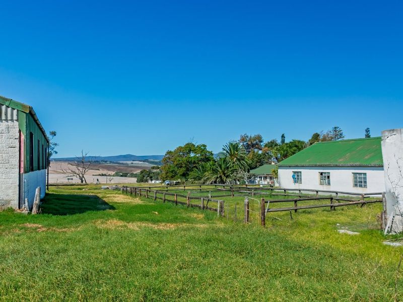 Crop Farm with Registered Irrigation Rights - Photo 5
