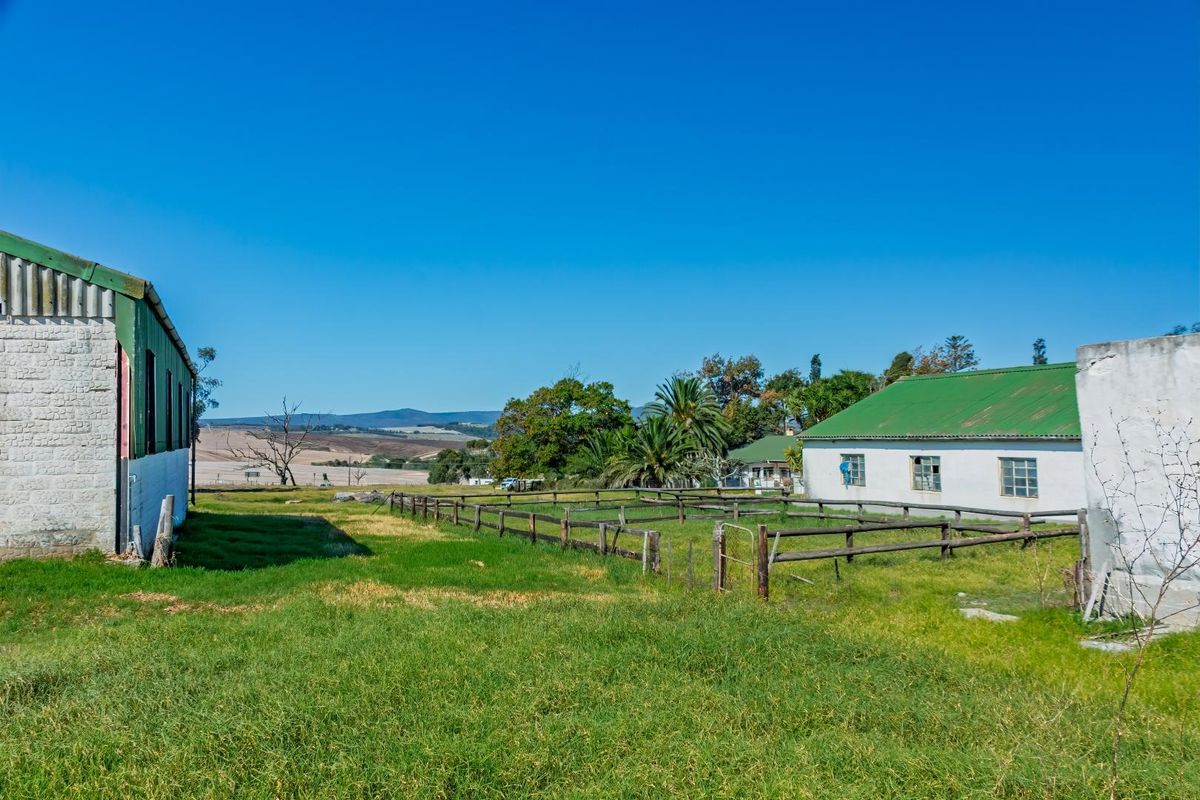 Crop Farm with Registered Irrigation Rights - Photo 5