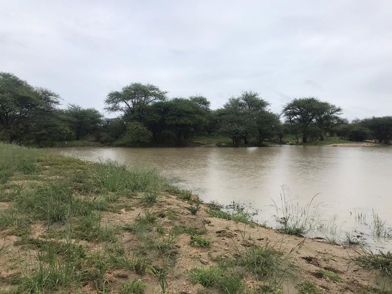 A scenic view of a natural dam on the small holding, surrounded by indigenous trees and natural vegetation.