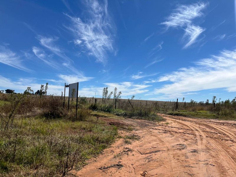 Restore, Cultivate, Live: 52-Hectare Farm Near Bronkhorstspruit! - Photo 10