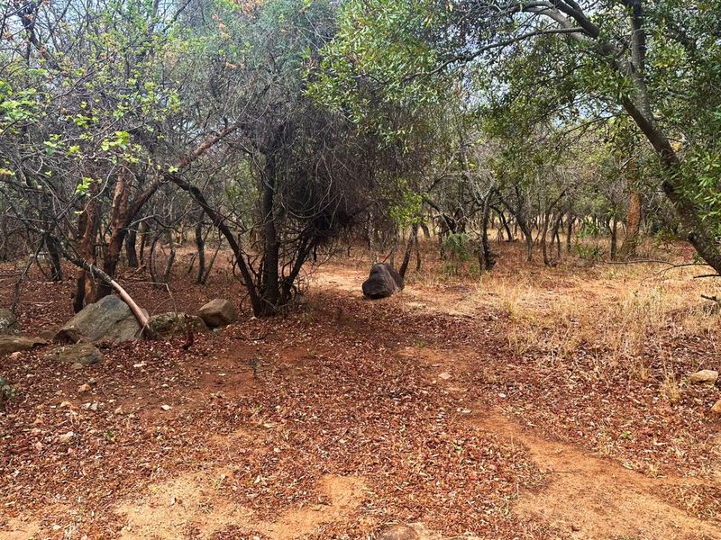 Vacant Stand for Sale in Kampersrus - Photo 9