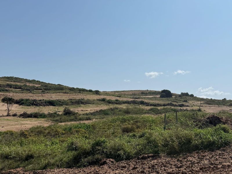 A wide-angle view of a vacant residential plot featuring natural terrain and native vegetation under a clear sky.