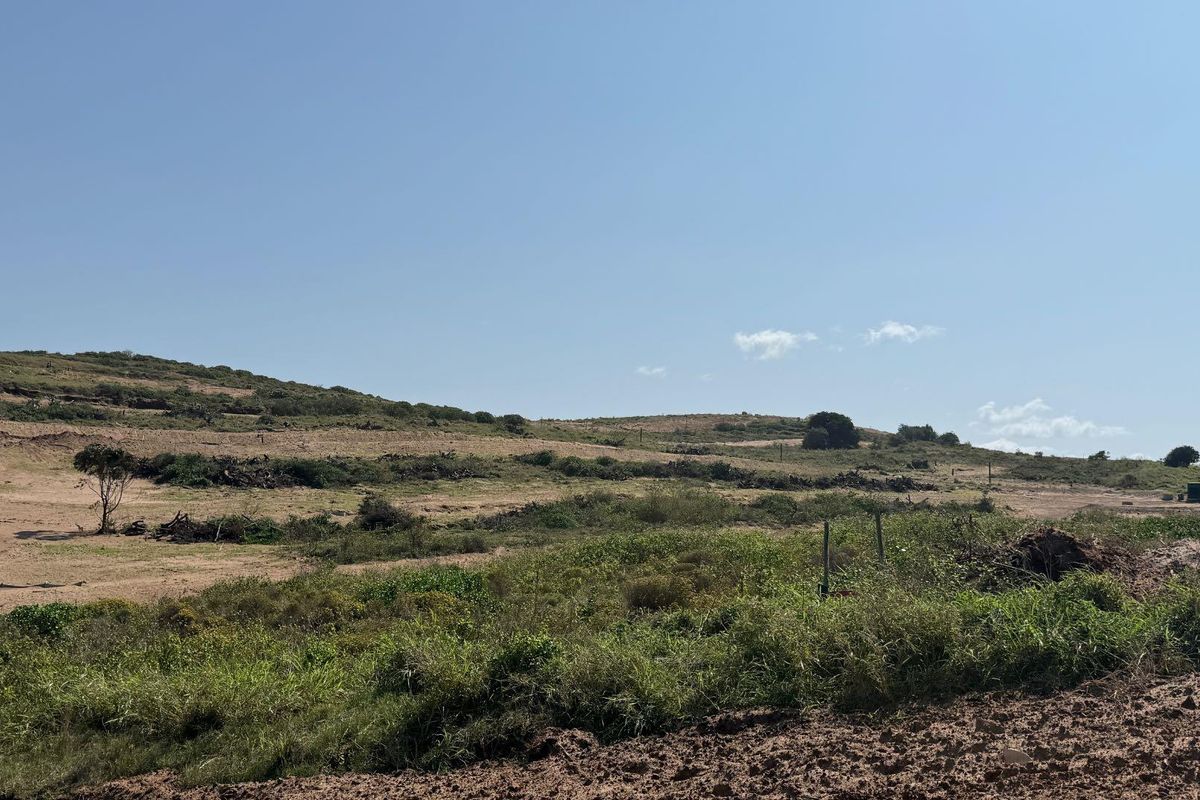 A wide-angle view of a vacant residential plot featuring natural terrain and native vegetation under a clear sky.