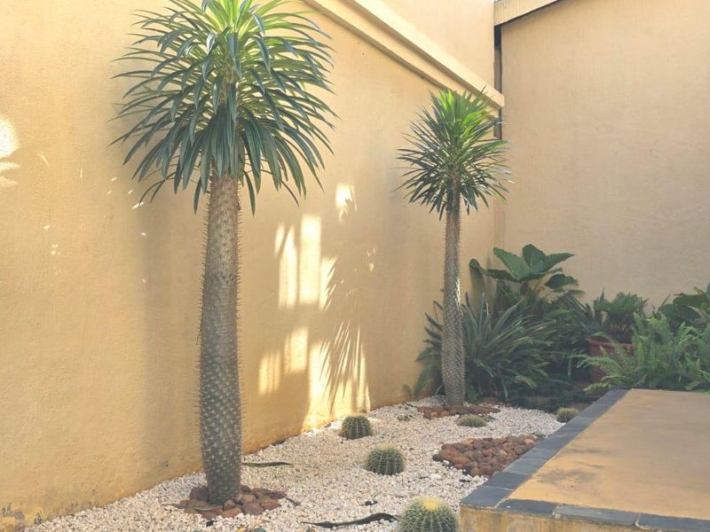 3 Bedroom house for sale in Nelspruit - Photo 9