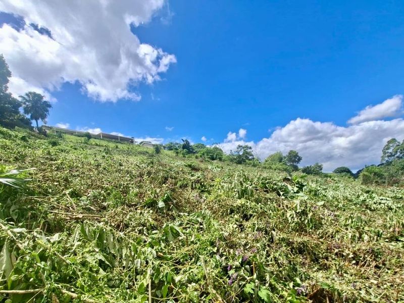 Prime Vacant Land Opportunity - Photo 2