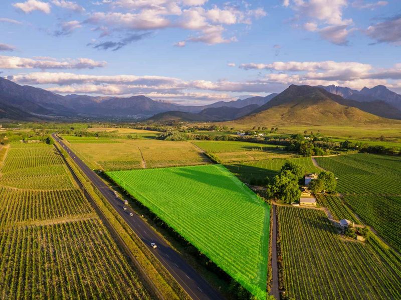 Aerial view of a large agricultural land parcel featuring established vineyards, set against a scenic mountain backdrop.
