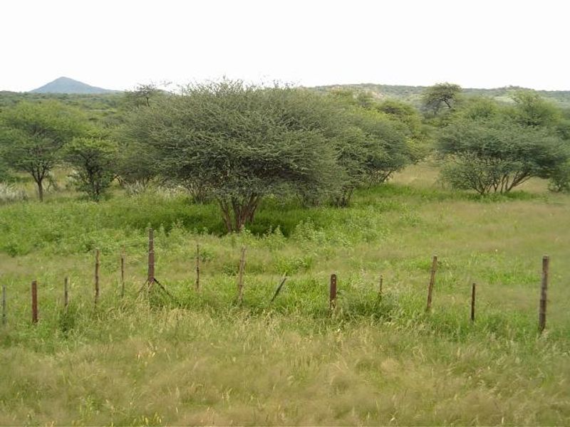 Plot for Sale Okahandja - Photo 7