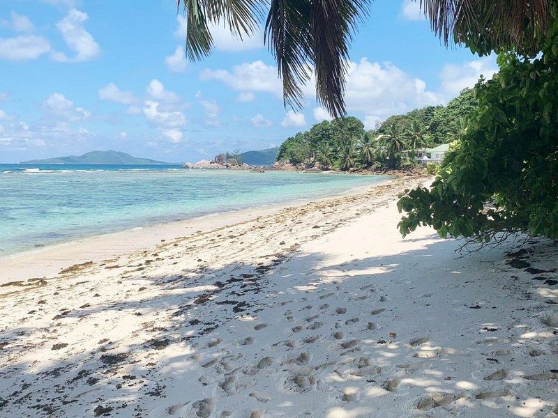 BEACHFRONT DEVELOPMENT OPPORTUNITY IN PARADISE - Photo 7