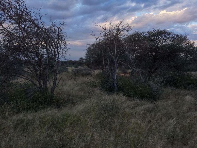 Final release — only 5 plots remain to complete the development - Photo 4