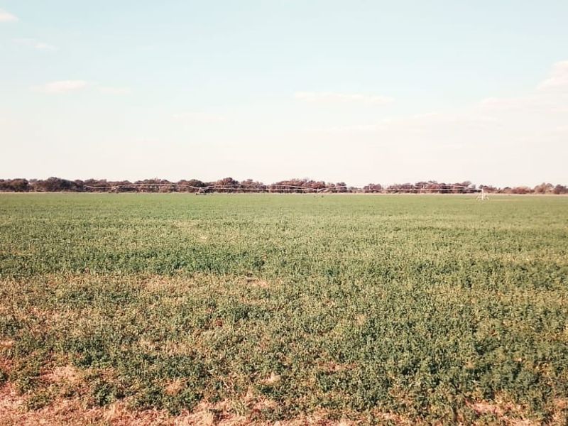 PIVOT POINT WITH 15 HEKT LUCERN .READ POSSIBILITIES BELOW PLEASE - Photo 5