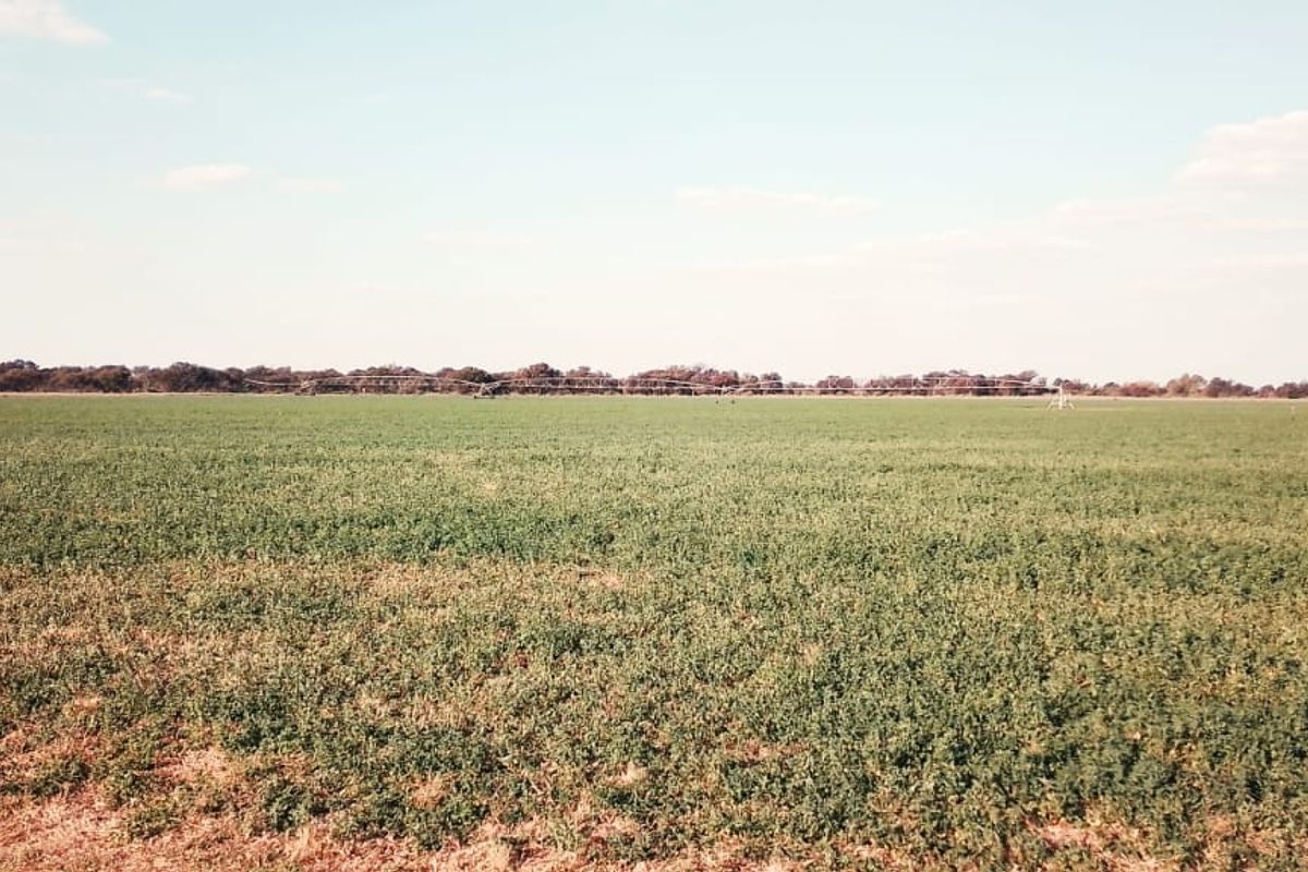 PIVOT POINT WITH 15 HEKT LUCERN .READ POSSIBILITIES BELOW PLEASE - Photo 5