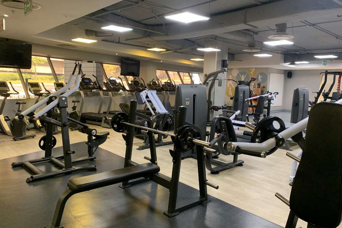 A well-equipped commercial gym facility featuring industrial-style exposed ceilings, recessed LED lighting, rubberized flooring, and large windows providing natural light.