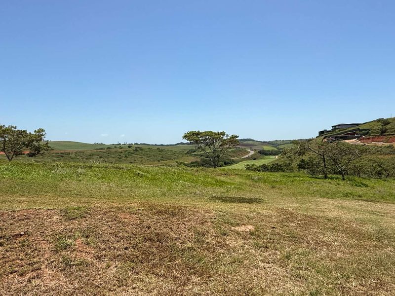 Ready... set... build your dream! - Photo 5