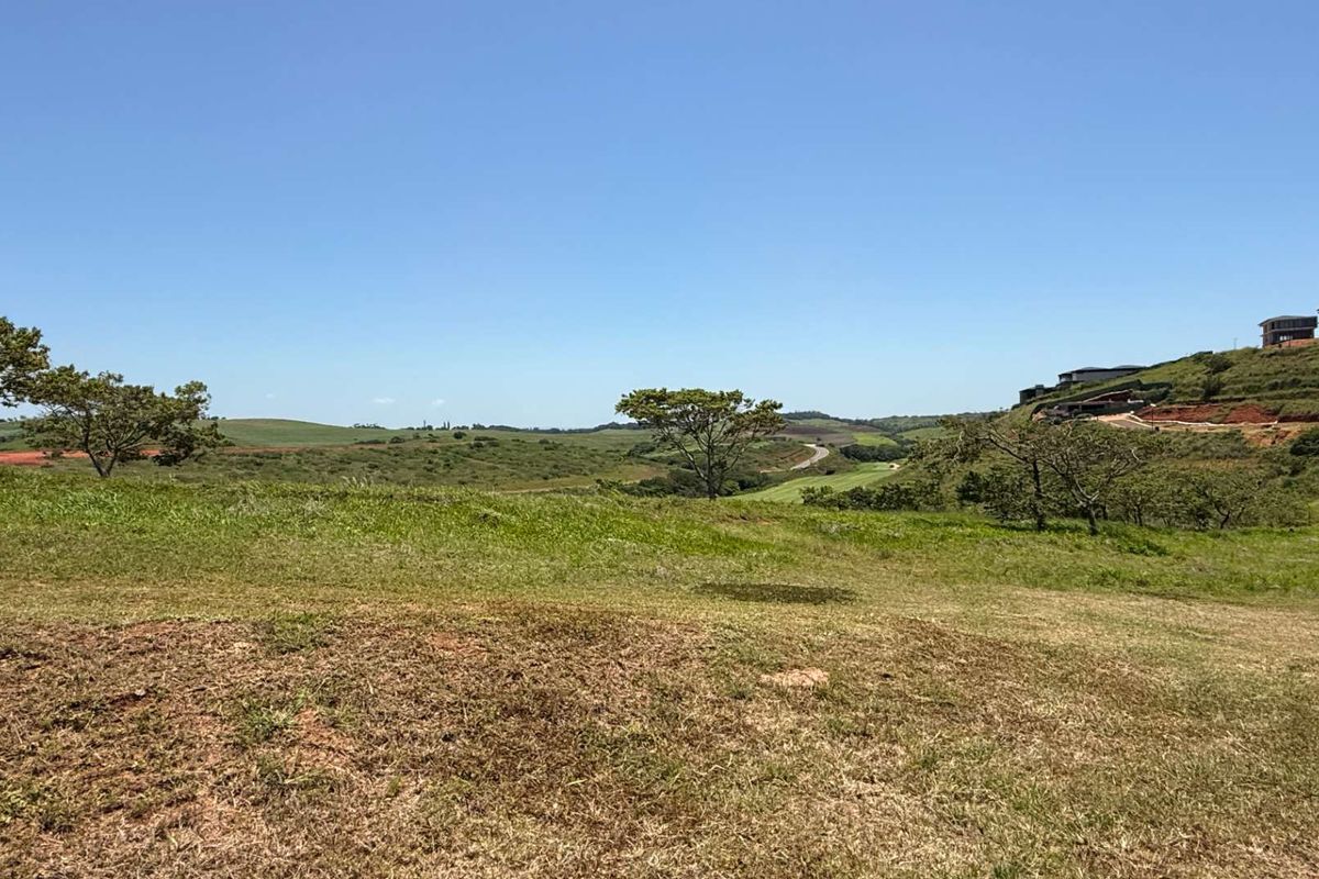 Ready... set... build your dream! - Photo 5