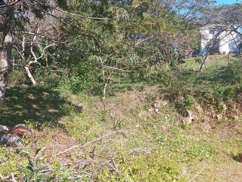 Land for Sale with Spectacular Views over Kloof Gorge - Photo 8