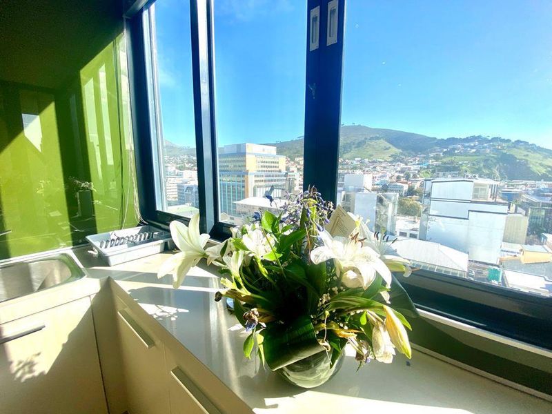 ON TOP OF THE WORLD - Airbnb and Pet-Frienldy  Two bedroom Penthouse in the Heart of Cape Town - Photo 10