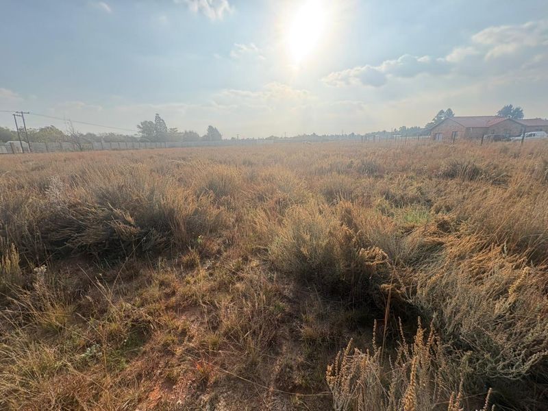 Vacant Land with Endless Potential - Photo 7
