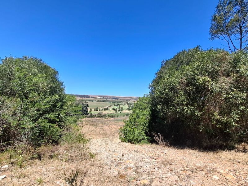 Serene Cul-de-Sac Living in Heidelberg Awaits! - Photo 6