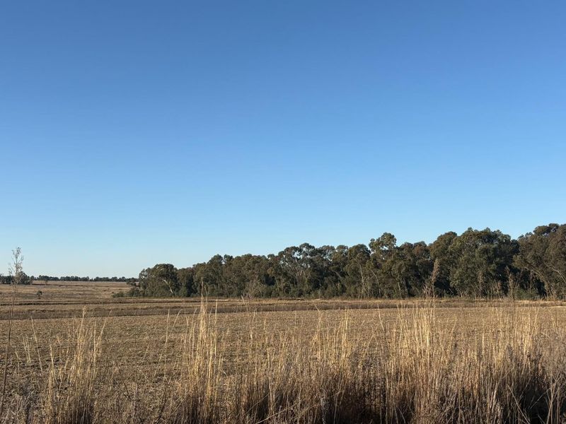 A scenic view of the expansive open farmland and natural tree line on the property.