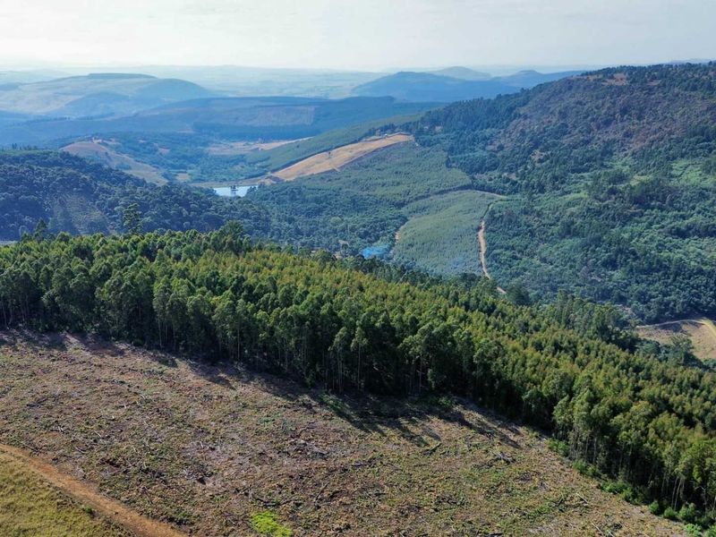 33-Hectare Vacant Land with Forest and Panoramic Views in the Midlands, Howick Rural - Photo 3