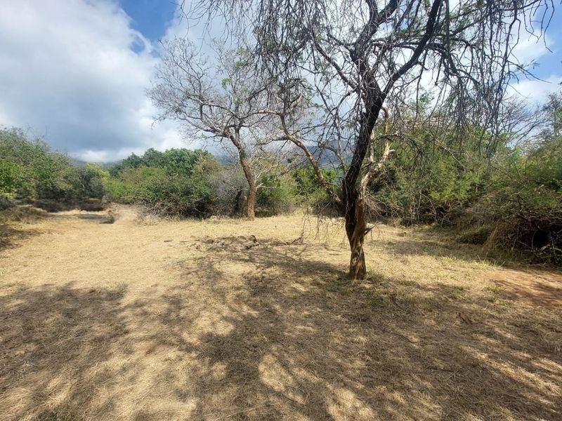 Bushveld Living at Its Best – Unfurnished 2 Bedroom Home to Rent in Escarpia Eco Estate, Kampersrus - Photo 2