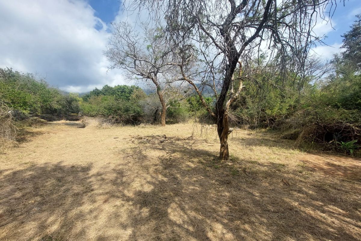 Bushveld Living at Its Best – Unfurnished 2 Bedroom Home to Rent in Escarpia Eco Estate, Kampersrus - Photo 2